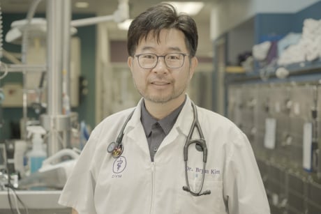 Dr. Kim