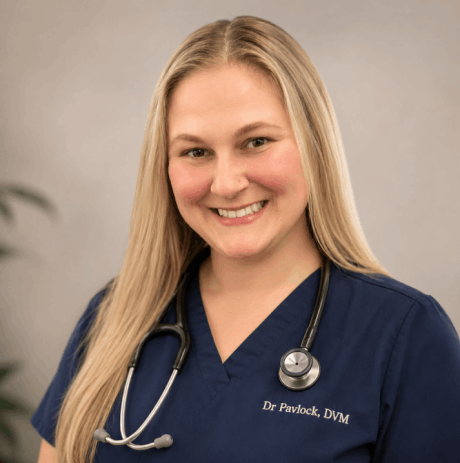 Dr. Pavlock