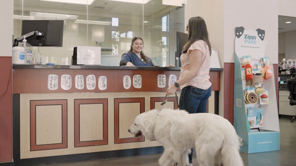 Animal Care Services
