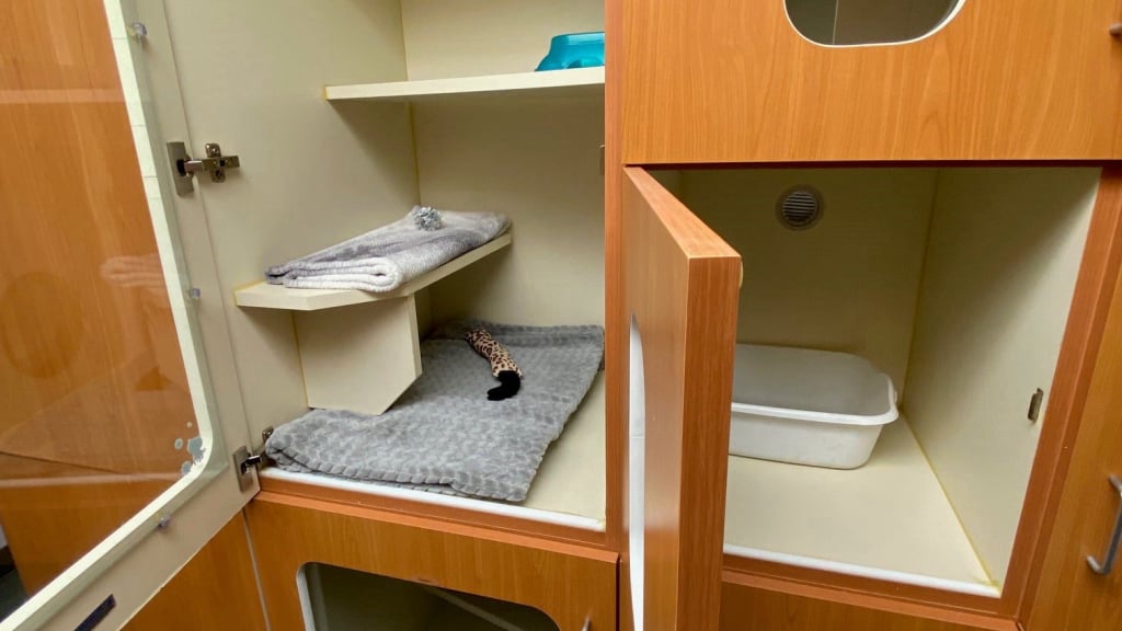 Animal Care Services