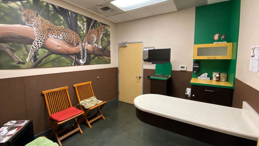 Animal Care Services