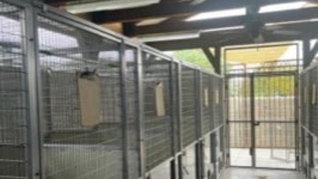 Animal Care Services